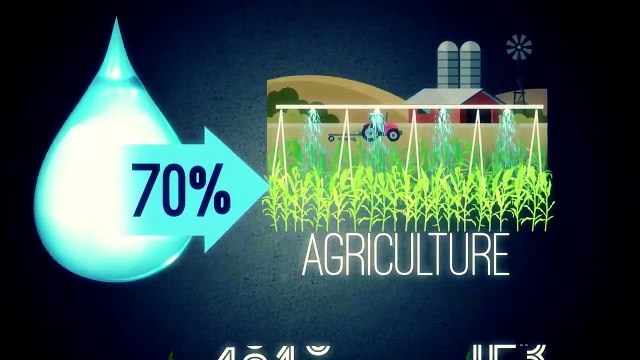 Data Gueule Saison 5 - Eau rage, eau des espoirs ! (EN)