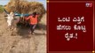 ಒಂಟಿ ಎತ್ತಿಗೆ ಹೆಗಲು ಕೊಟ್ಟ ರೈತ..! | Farmer Viral Video | Koppal | TV5 Kannada