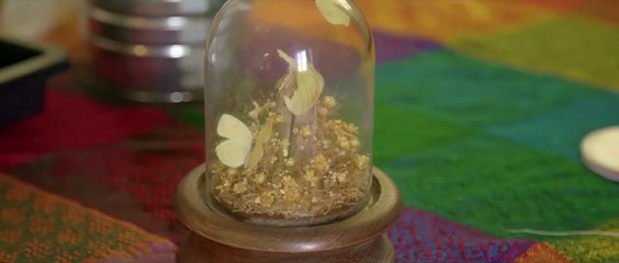 The Perfect Family | Scary Short Horror Film | Screamfest