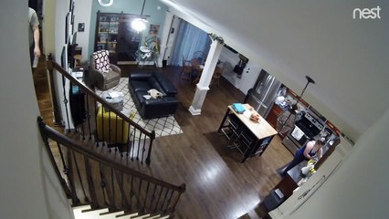 Man Bounces Down Stairs on His Back