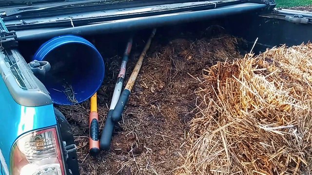 Creating a Flower Bed...Planting a Million Flowers