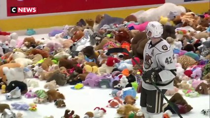 Etats-Unis : Plus de 50.000 peluches lancées en plein match de hockey sur glace
