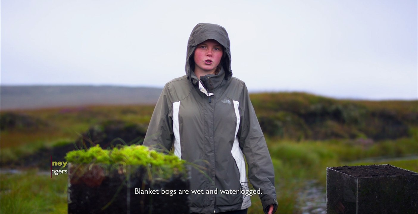 Tackling climate change