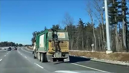 Un raton laveur fait un petit tour de camion poubelle