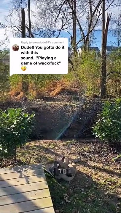 Un enfant se prend un chien en pleine face et papa est plié de rire