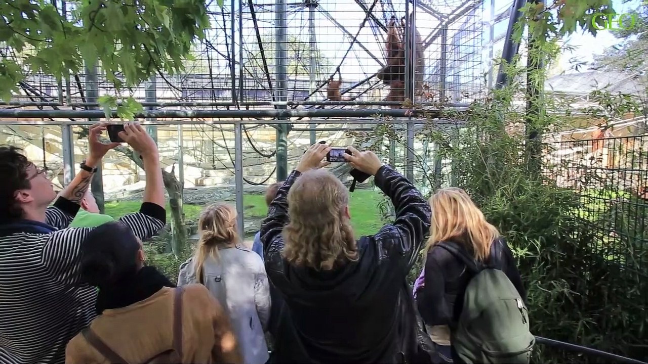 La sécurité dans les zoos