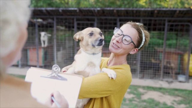 Kentucky Shelter Shares Heartbreaking Photo of Dog Stood Up By Potential Adopters