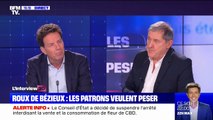 Geoffroy Roux de Bézieux (Medef): 