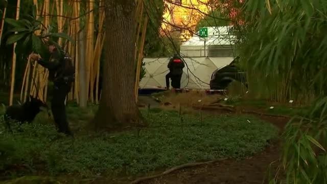 La Policía alemana investiga el tiroteo ocurrido en la Universidad de Heidelberg