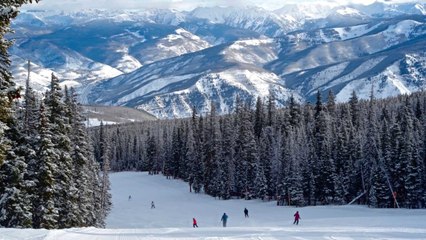 This Chic Colorado Ski Resort Is Hiding a Serious Wild Side
