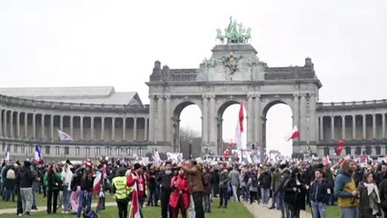 الشرطة البلجيكية تعتقل 11 شخصا بتهمة "الإخلال بالنظام العام" بعد مظاهرات ضد قيود كورونا