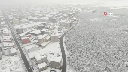 Ataşehir Ormanı'nda kartpostallık görüntüler
