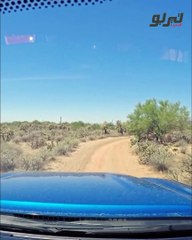 ما أضرار المطبات على سيارتك وكيف يمكن أن تتجنبها؟