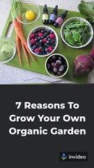 7 Reasons To Grow Your Own Organic Garden
