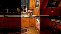 Dog Keeps Kitty Off Counter