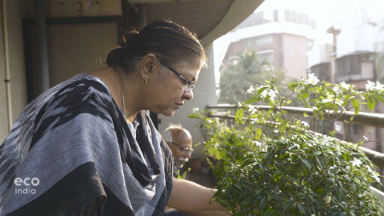 Mumbai's food forests