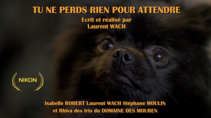 Tu ne perds rien pour attendre...