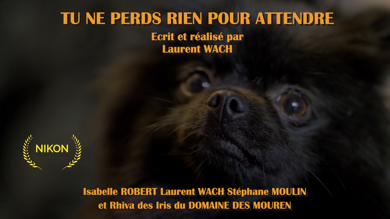 Tu ne perds rien pour attendre...