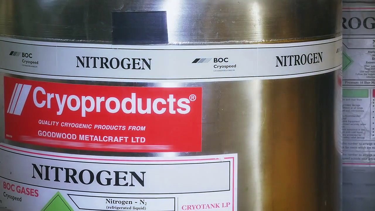 In Search Of What Happens After We Die (S1, E8)