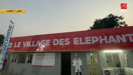 خاص اللعيب.. جماهير الكاميرون: مصر ستتخطي كوت ديفوار برعاية صلاح