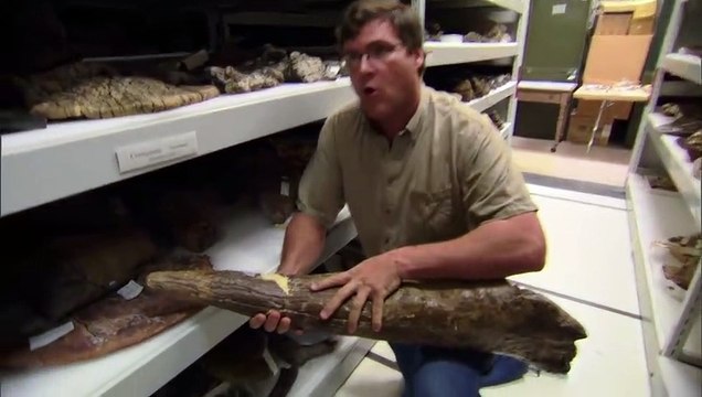 Mega Disasters Killer Asteroid Wipes Out The World (S1, E5)