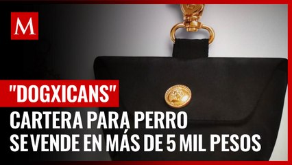 Un lujito para tu mascota, cartera para perro se vende en más de 5 mil pesos