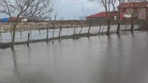 Bafra Ovası'nda kanal taştı, tarım arazileri ve ahırlar su altında kaldı