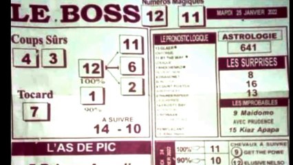 2 prono de mardi 25/1/22 avec des journaux de course pmu turf
