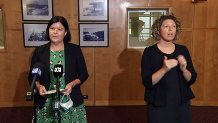 "Bumpy" in NT testing regime as figures stabilise