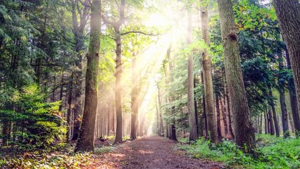 1. Master Color Theory in Design 🎨: Complete Guide to Creating Stunning Visuals