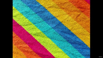 2. Seeing the World through Color