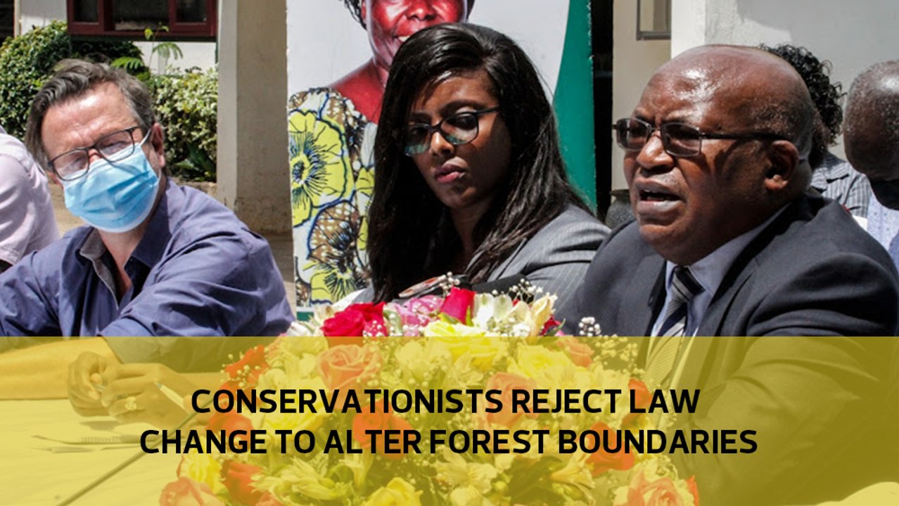 Conservationists reject law change to alter forest boundaries-