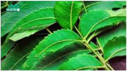 नीम के पत्ते खाने के इन फायदों से आप है अनजान, जल्दी जान लें श्रीमान |Benefits Of Neem