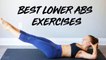 Best Exercises for Lower Abs | At Home Workout No Equipment