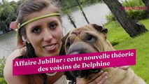 Affaire Jubillar : cette nouvelle théorie des voisins de Delphine