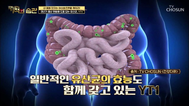 갱년기 증상과 면역력을 동시에 잡는 【YT1 유산균】 TV CHOSUN 220125 방송