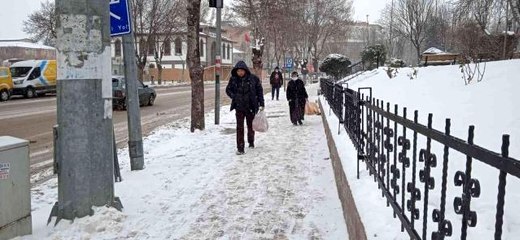 Afyonkarahisar'da kar yağışı etkili oldu