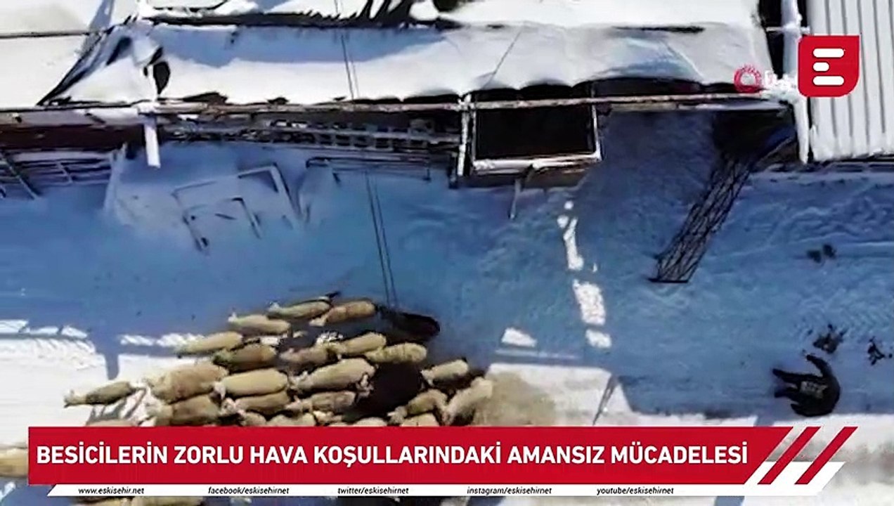 Besicilerin zorlu hava koşullarındaki amansız mücadelesi