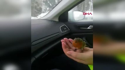 DONMAK ÜZERE OLAN KUŞU POLİS ARACINA ALDILAR