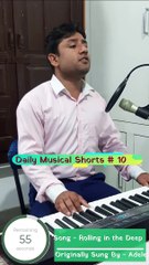 Rolling in the Deep (Cover) | (Daily Musical Shorts #10) | Acorn Wolve | #Shorts