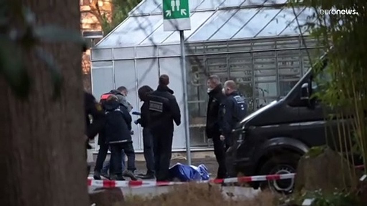 Sparatoria nel campus di Heidelberg: il 18enne voleva compiere una strage