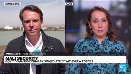 Mali asks Denmark to 'immediately' withdraw troops deployed there
