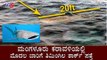 Whale Shark Found in Mangalore Coast for the First Time - Arabian Sea | TV5 Kannada