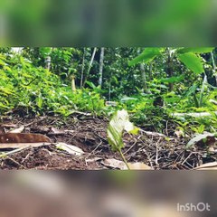 Adventure Mini Scale 1:12