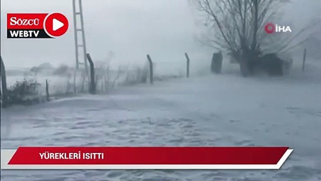 Kangal köpeği fırtınada doğum yaptı, sahibinin yaptığı yürekleri ısıttı