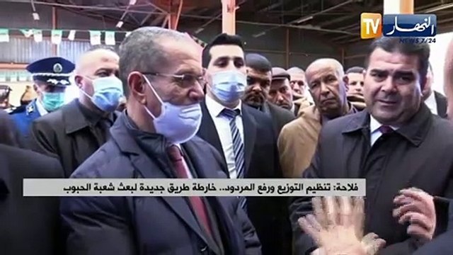 تنظيم التوزيع ورفع المردود .. خارطة طريق جديدة لبعث شعبة الحبوب