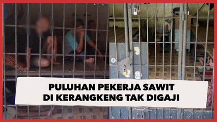 Kacau! Temuan Kerangkeng Milik Bupati Langkat, Puluhan Pekerja Sawit Tak Digaji