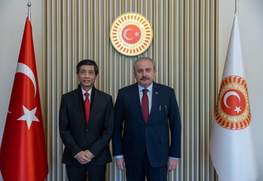 TBMM Başkanı Şentop, Vietnam Büyükelçisi Tuyen'i kabul etti