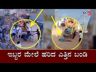 ಇಬ್ಬರ ಮೇಲೆ ಹರಿದ ಎತ್ತಿನ ಬಂಡಿ | Muguru jatre | Mysore | TV5 Kannada
