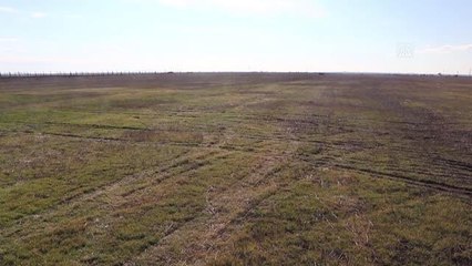 Ergene'de Plastik İhtisas OSB kurulması